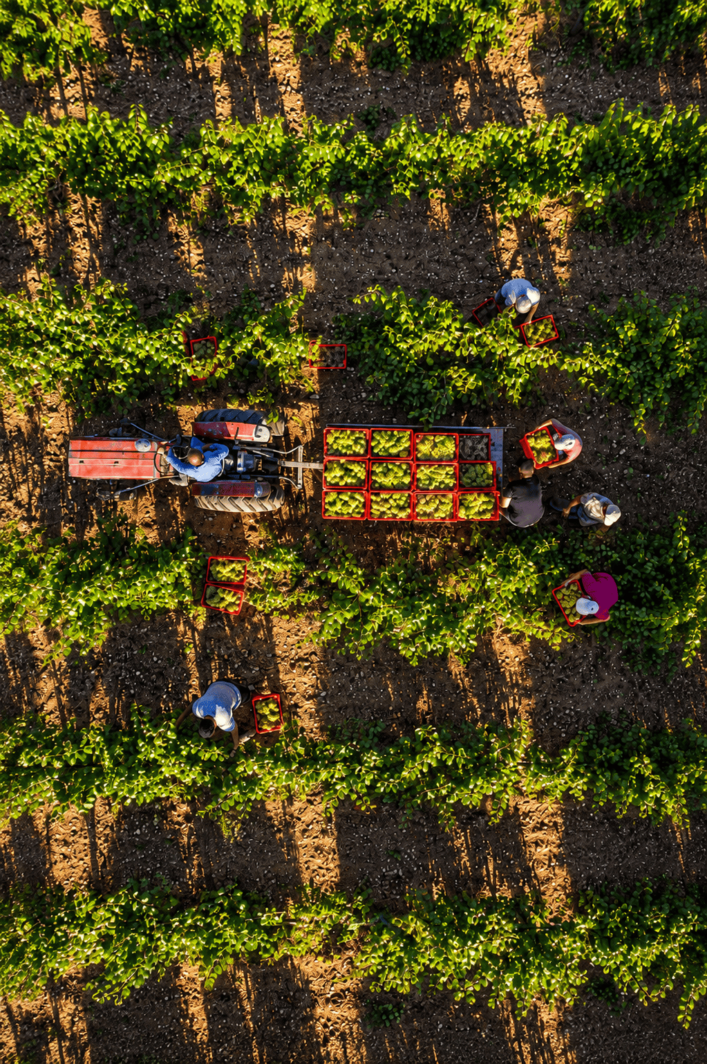 Weinabend Pfalz